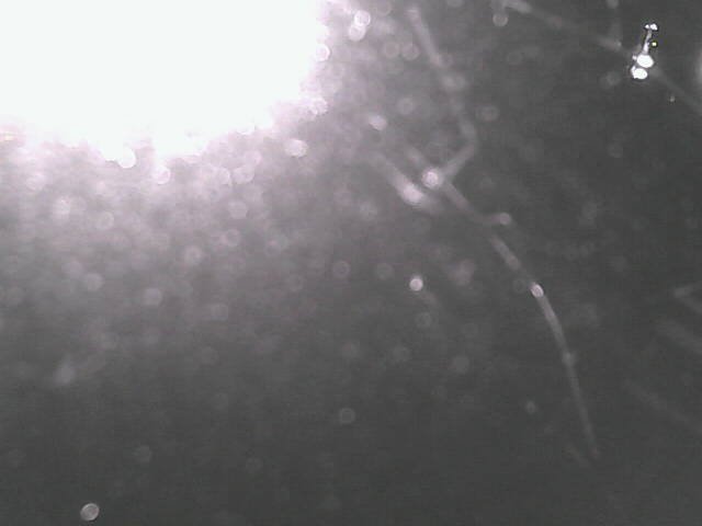 time-lapse frame, Cowes Yacht Club - West webcam