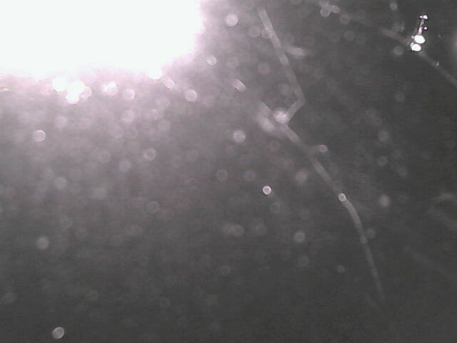 time-lapse frame, Cowes Yacht Club - West webcam