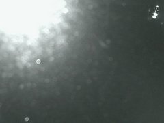 view from Cowes Yacht Club - West on 2026-04-21