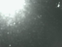 view from Cowes Yacht Club - West on 2026-04-26