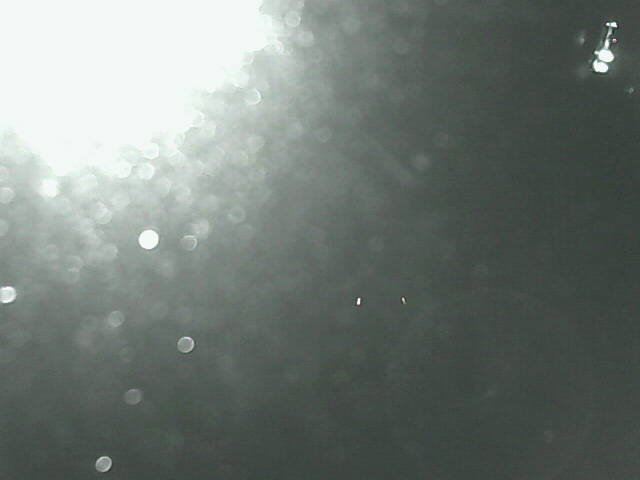 time-lapse frame, Cowes Yacht Club - West webcam