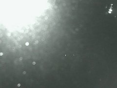 view from Cowes Yacht Club - West on 2026-08-20