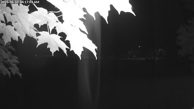 time-lapse frame, Arrowhead Park webcam