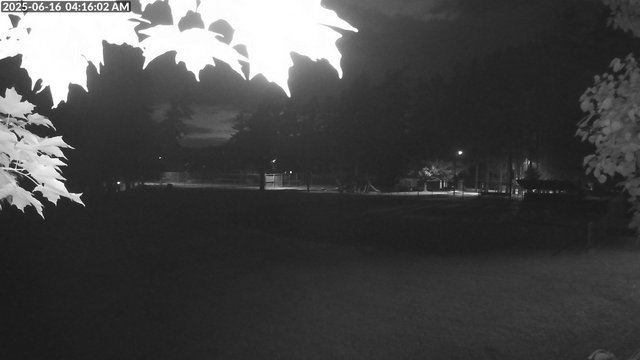time-lapse frame, Arrowhead Park webcam