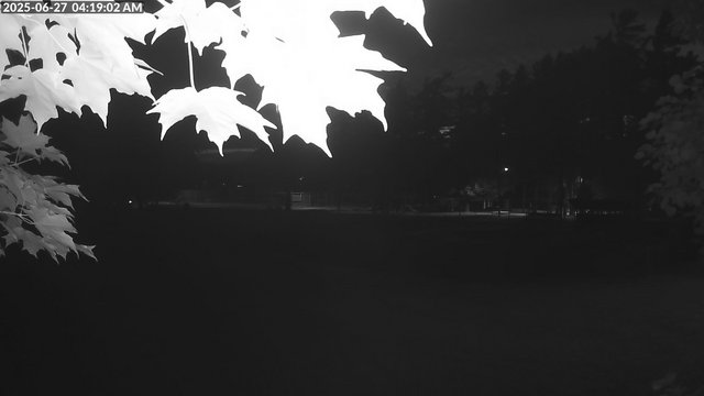 time-lapse frame, Arrowhead Park webcam