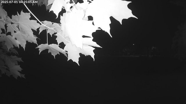 Arrowhead Park animated GIF