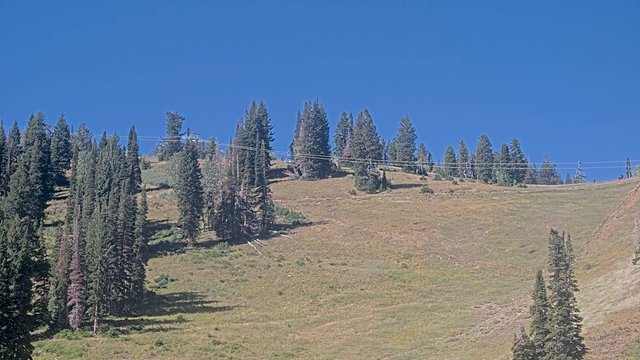 view from Solitude Sunshine Bowl on 2026-09-04
