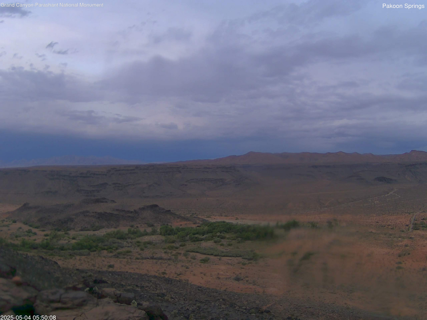 time-lapse frame, Pakoon Springs webcam