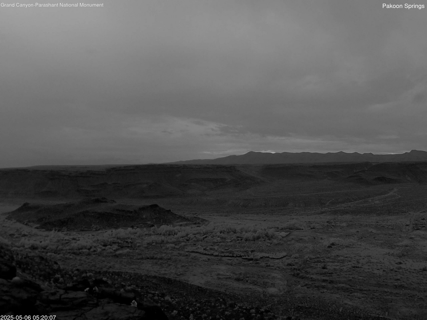 time-lapse frame, Pakoon Springs webcam