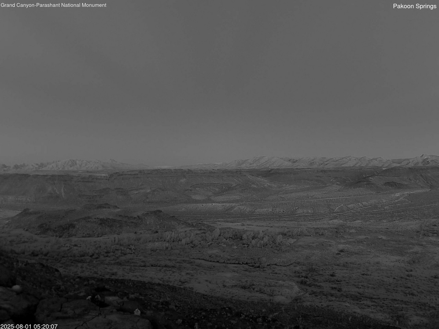 time-lapse frame, Pakoon Springs webcam