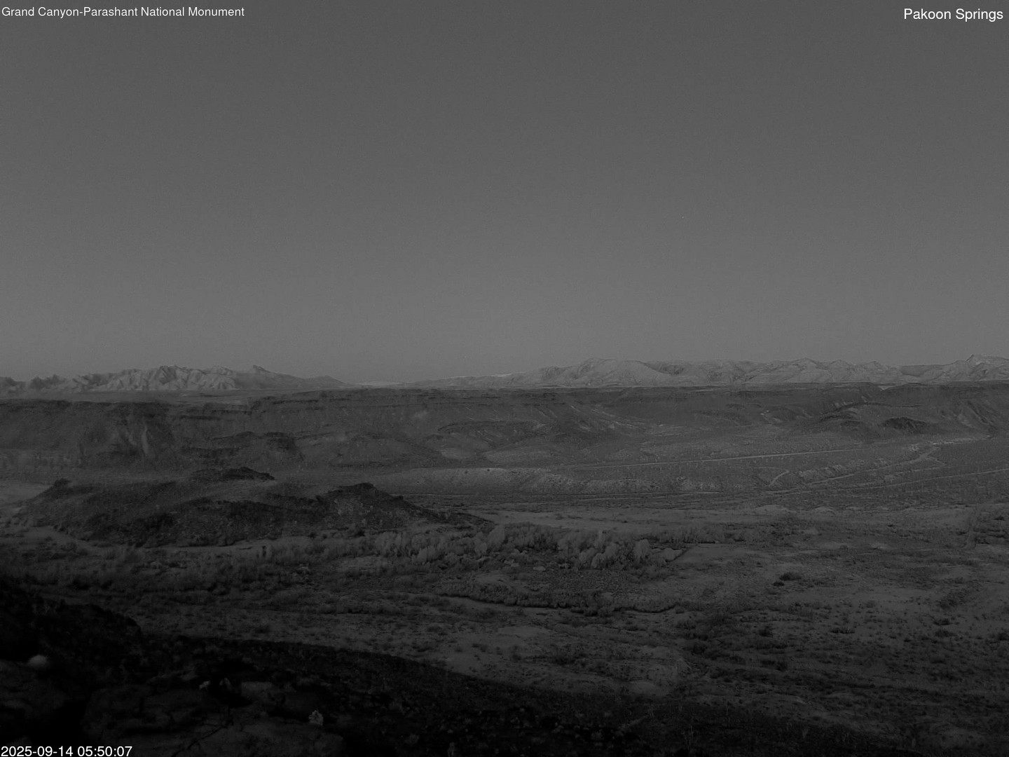 time-lapse frame, Pakoon Springs webcam
