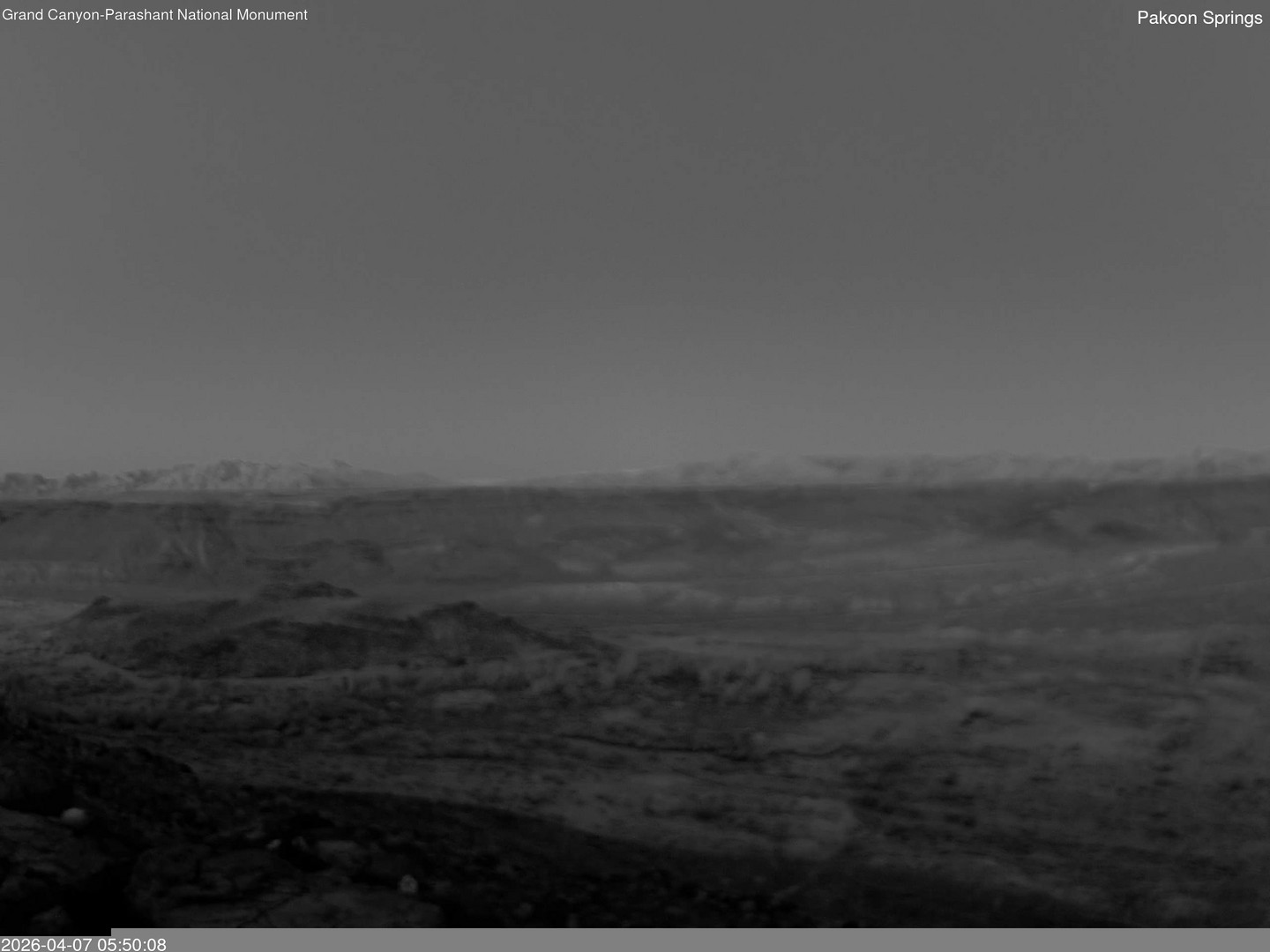 time-lapse frame, Pakoon Springs webcam