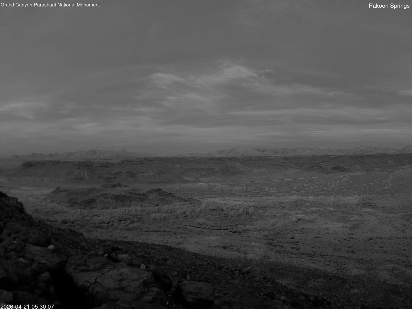 time-lapse frame, Pakoon Springs webcam