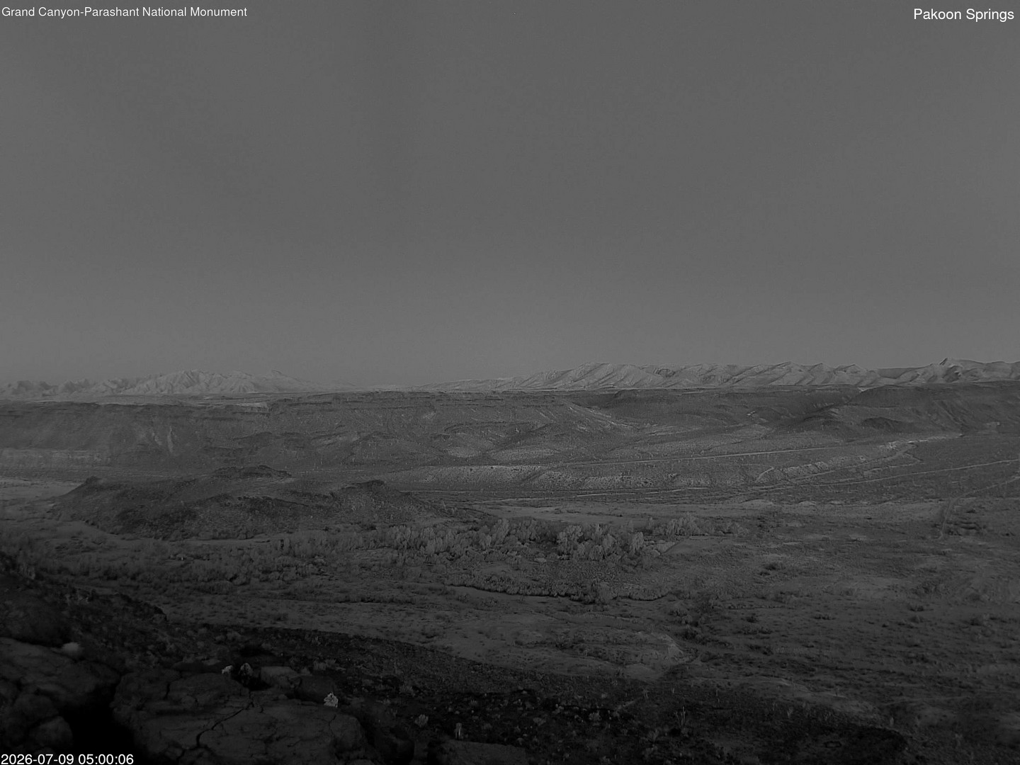 time-lapse frame, Pakoon Springs webcam