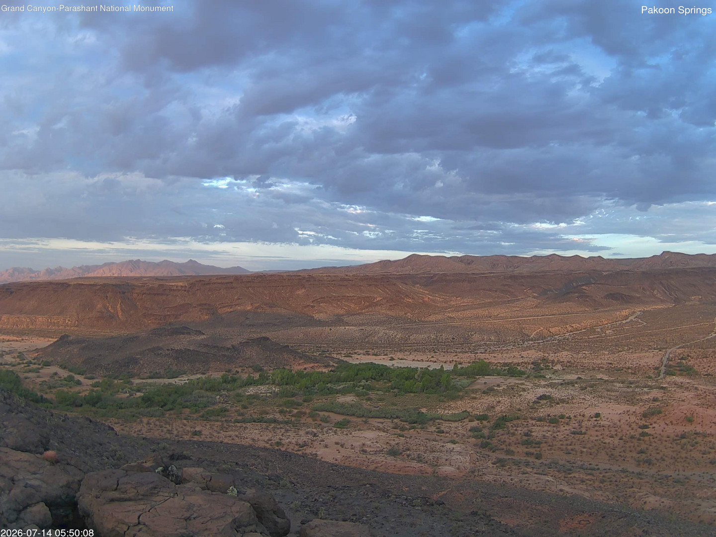 time-lapse frame, Pakoon Springs webcam