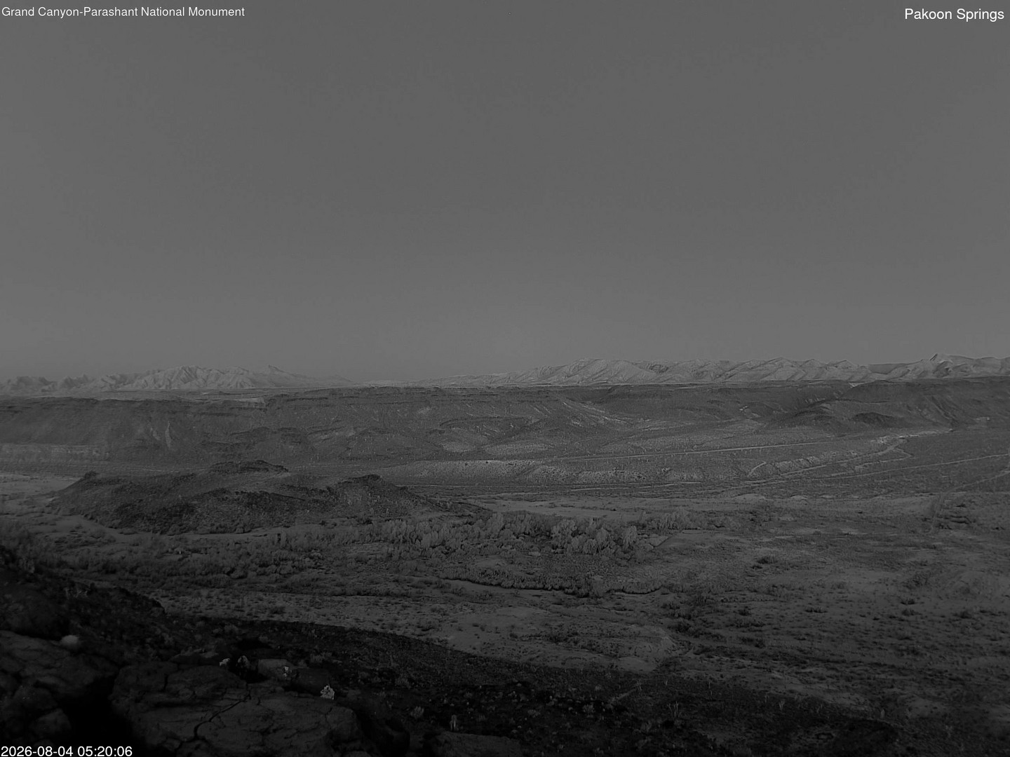 time-lapse frame, Pakoon Springs webcam