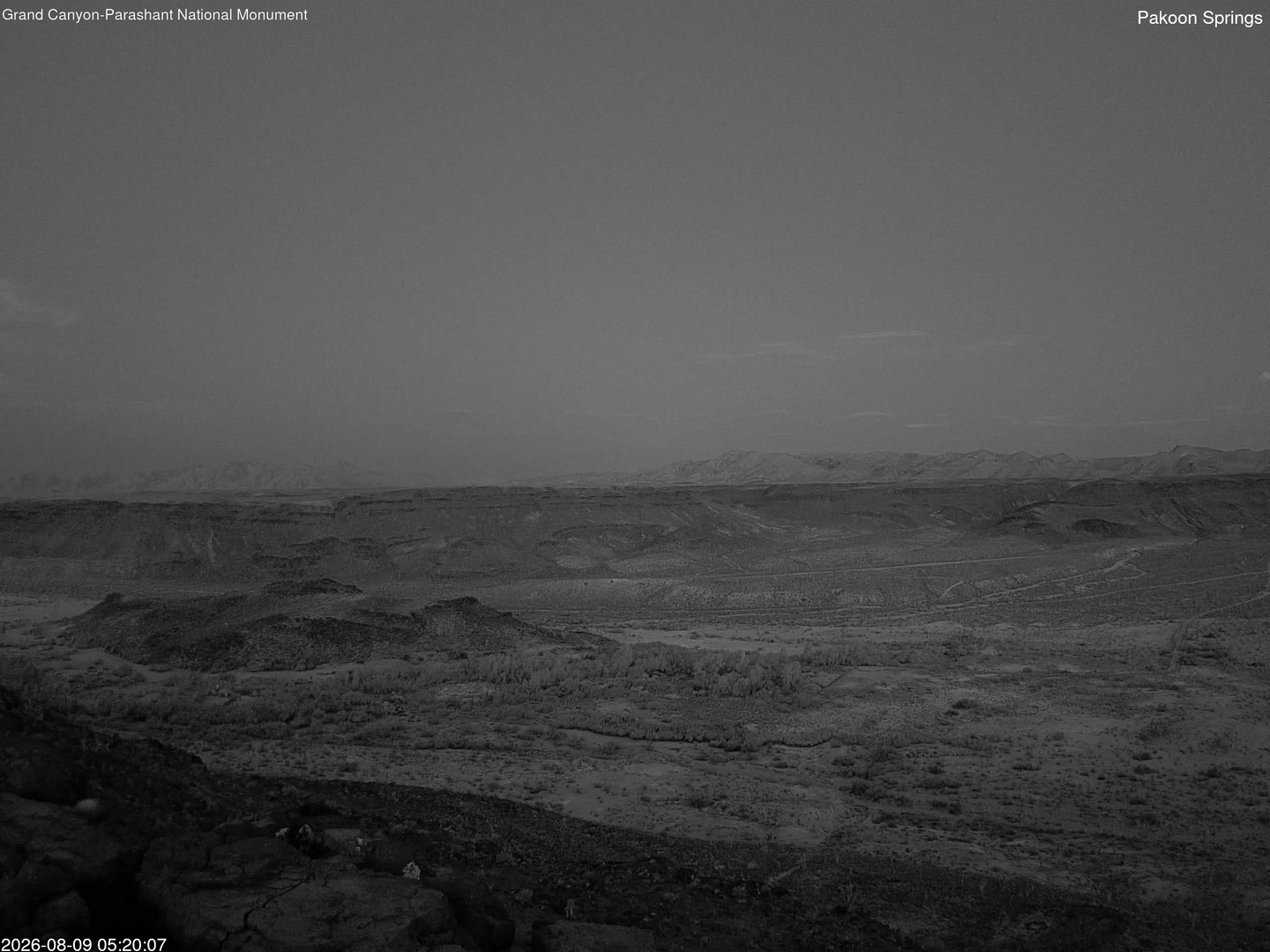 time-lapse frame, Pakoon Springs webcam