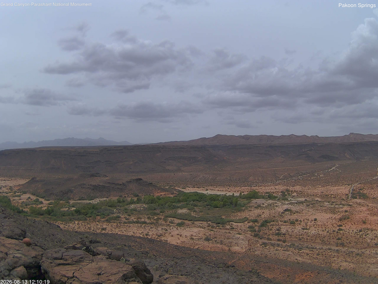 time-lapse frame, Pakoon Springs webcam