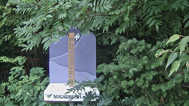 view from Sugarbush Mid-Mountain Snow Stake on 2026-08-17