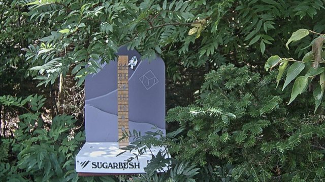 view from Sugarbush Mid-Mountain Snow Stake on 2026-08-24
