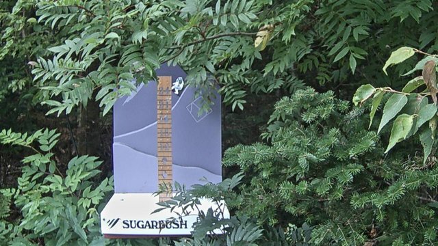 view from Sugarbush Mid-Mountain Snow Stake on 2026-08-25