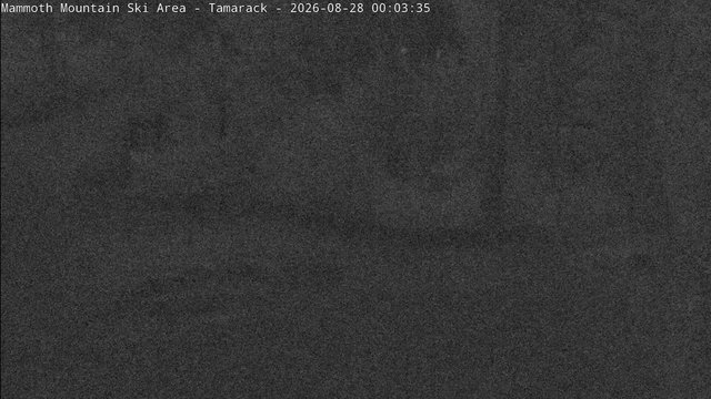 time-lapse frame, Mammoth Tamarack Lodge webcam