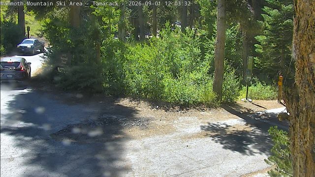 view from Mammoth Tamarack Lodge on 2026-09-01