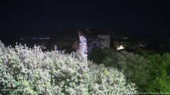 view from ACUTO on 2026-04-28
