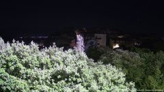 view from ACUTO on 2026-06-30