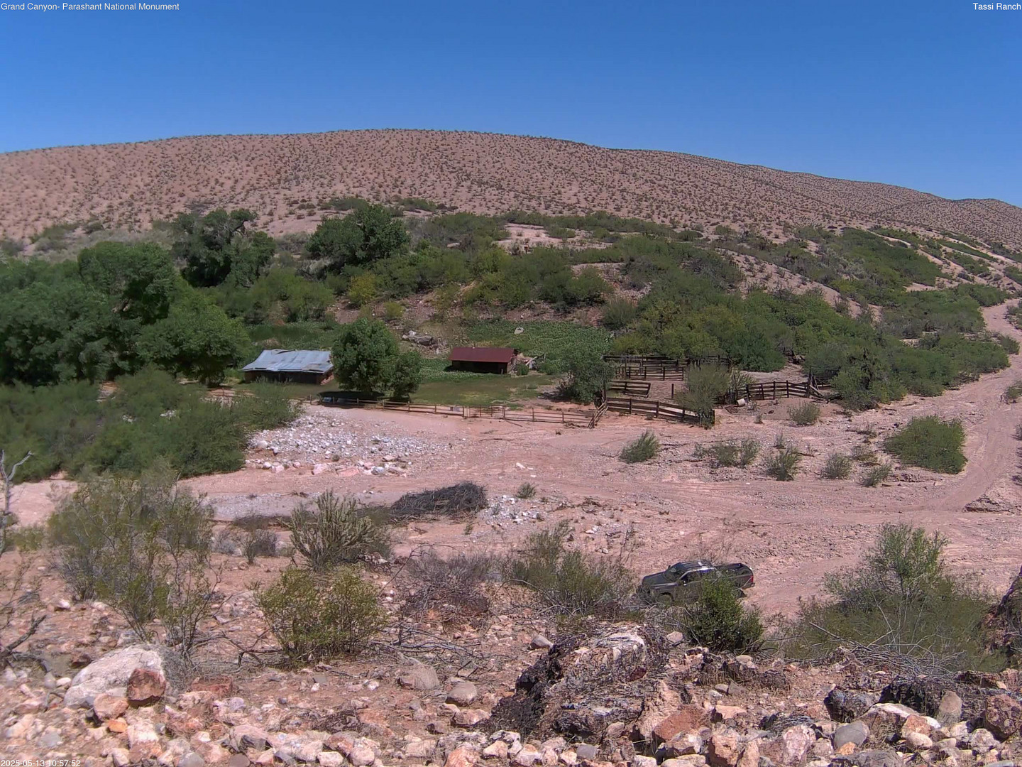 time-lapse frame, Tassi Ranch webcam