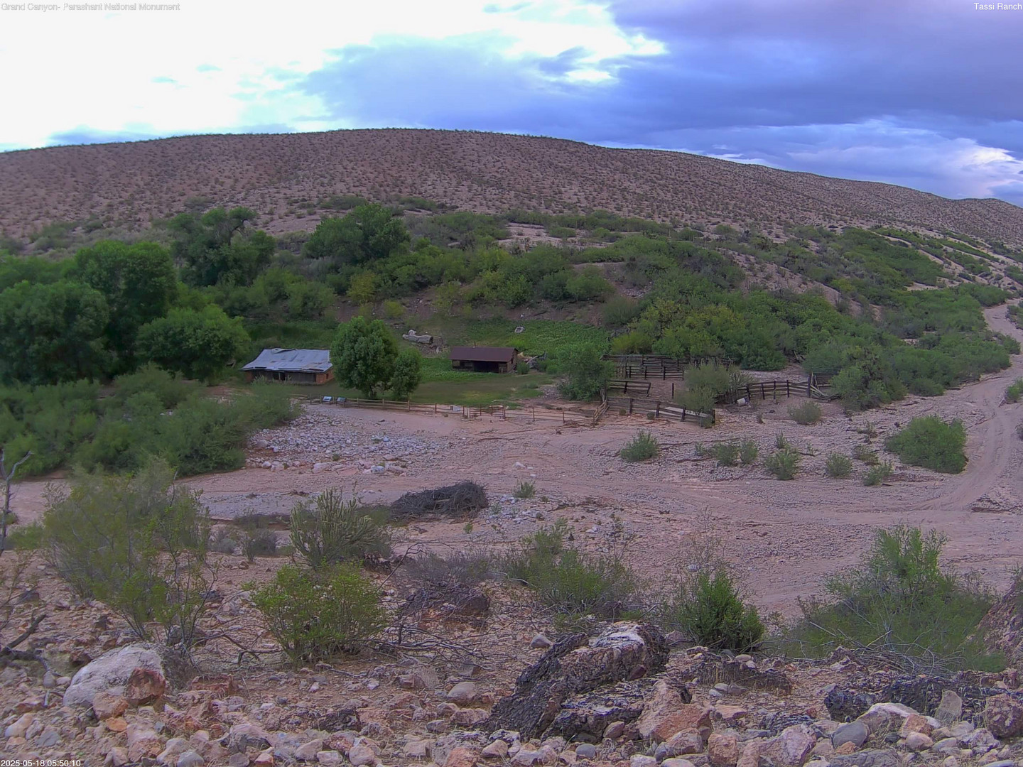 time-lapse frame, Tassi Ranch webcam
