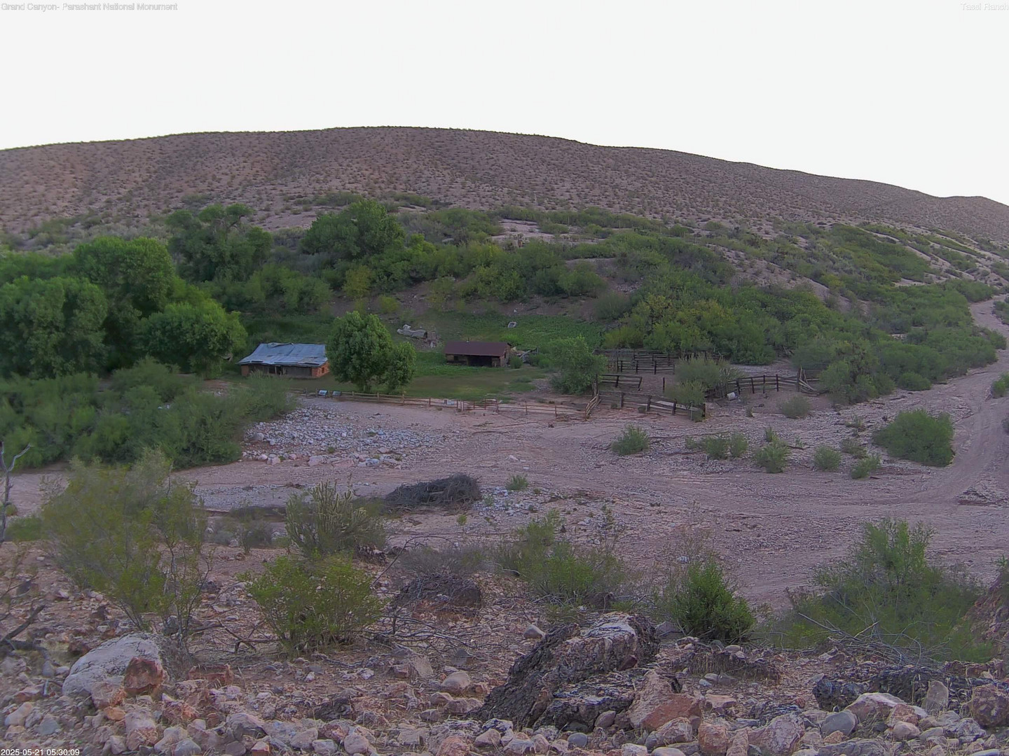 time-lapse frame, Tassi Ranch webcam