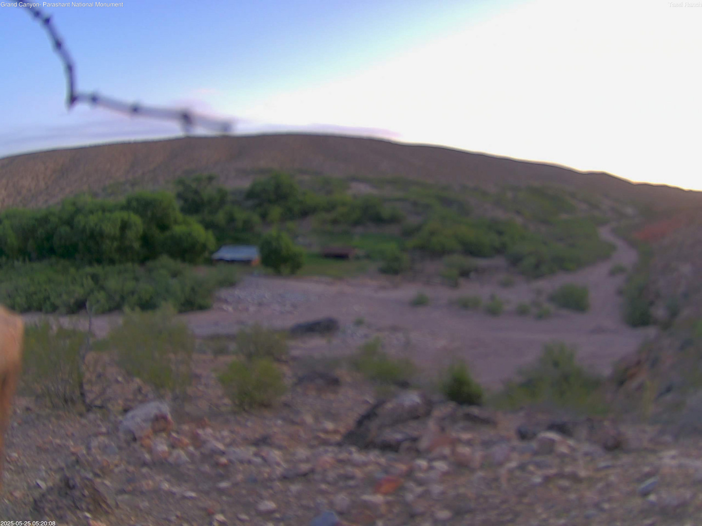 time-lapse frame, Tassi Ranch webcam