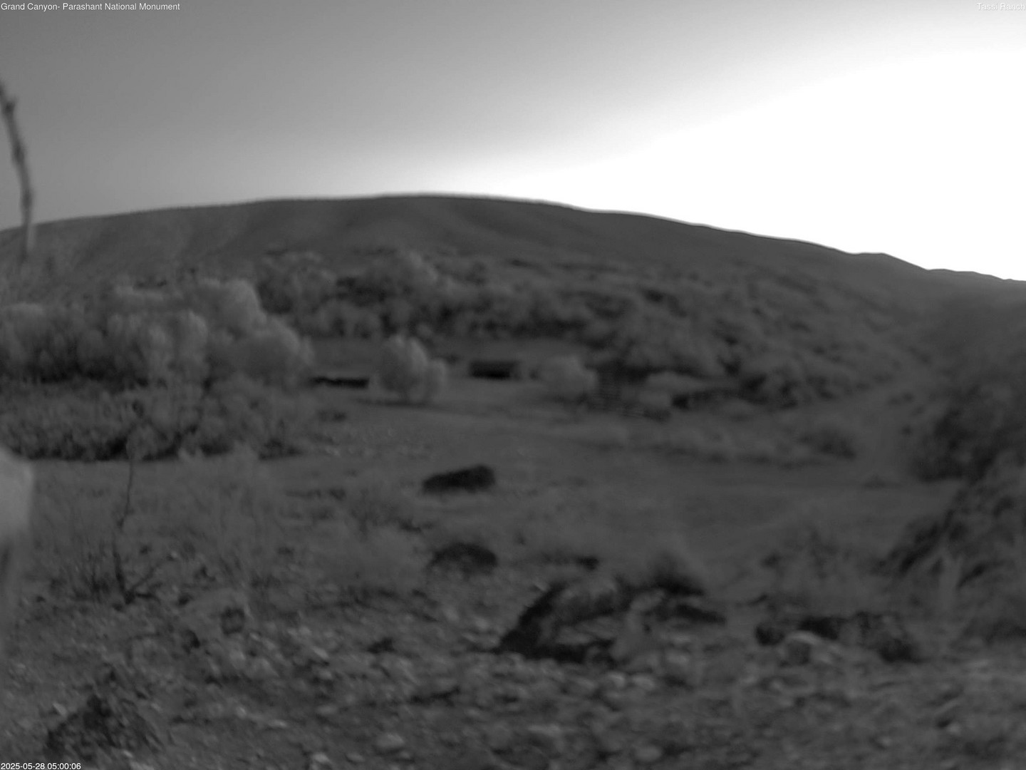 time-lapse frame, Tassi Ranch webcam