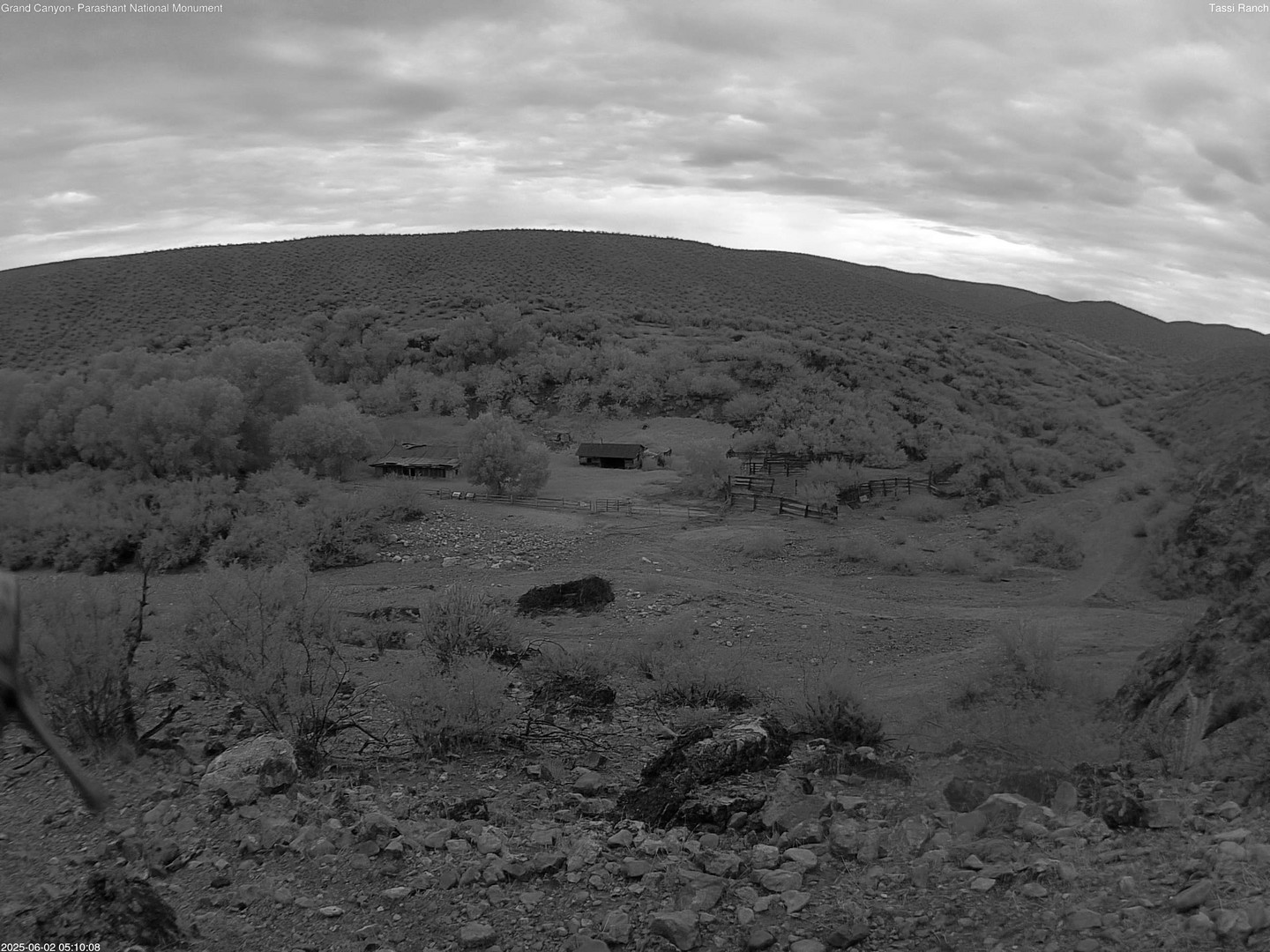 time-lapse frame, Tassi Ranch webcam