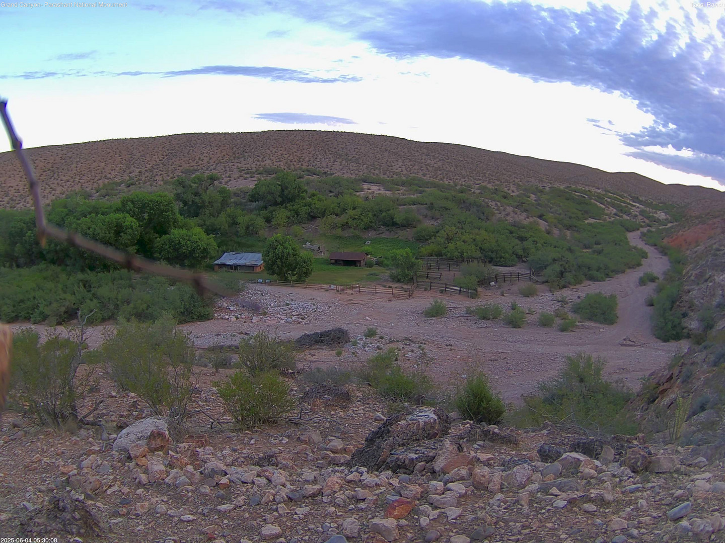 time-lapse frame, Tassi Ranch webcam