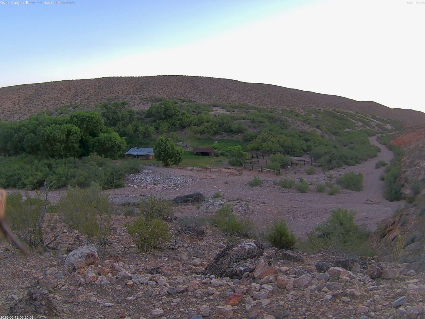 time-lapse frame, Tassi Ranch webcam