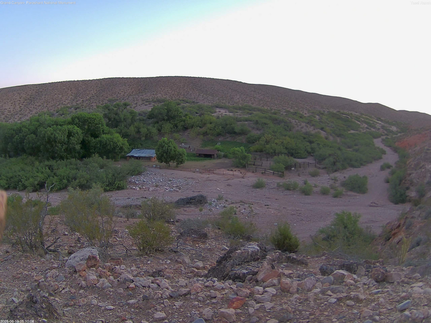 time-lapse frame, Tassi Ranch webcam