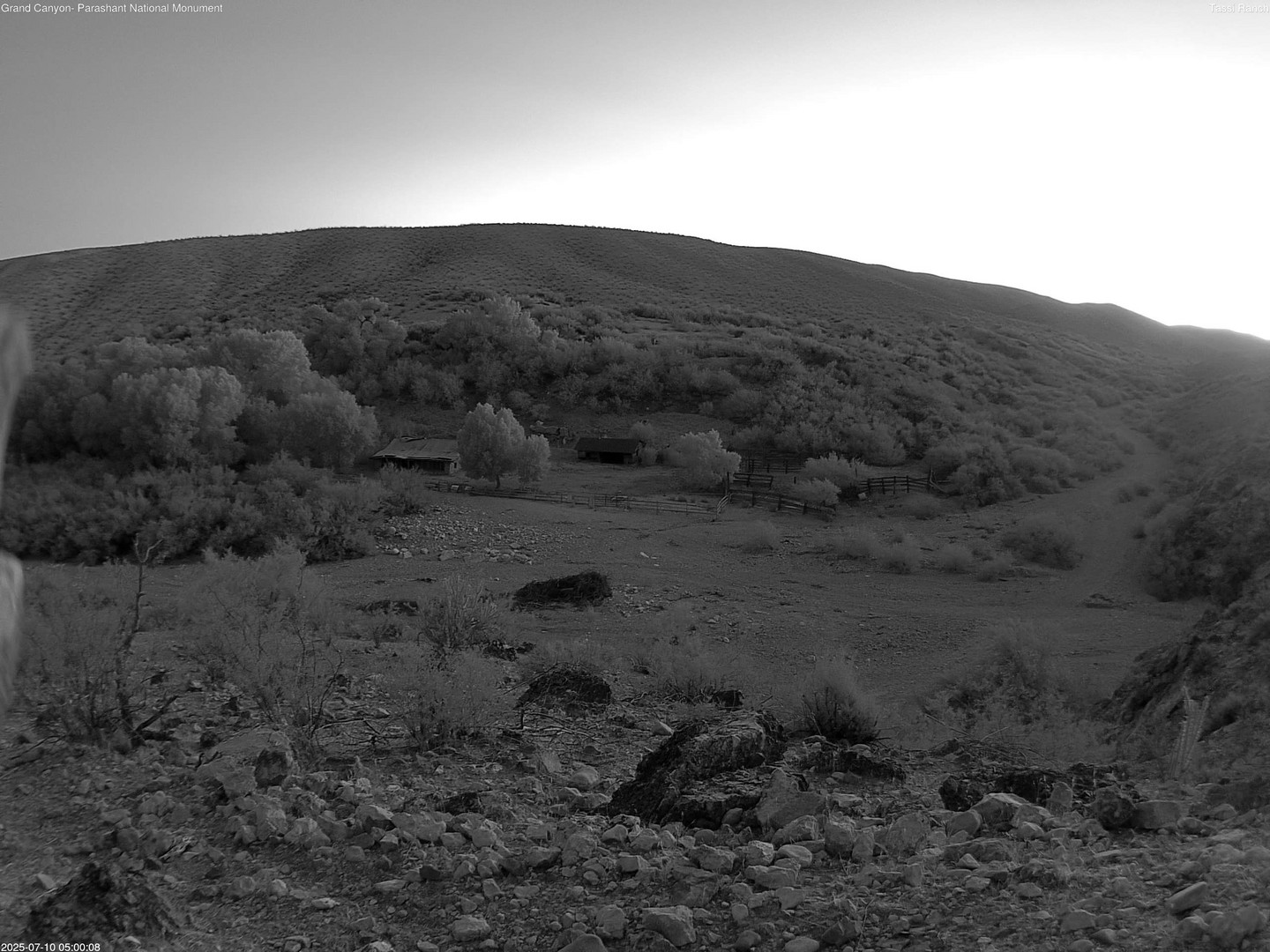 time-lapse frame, Tassi Ranch webcam