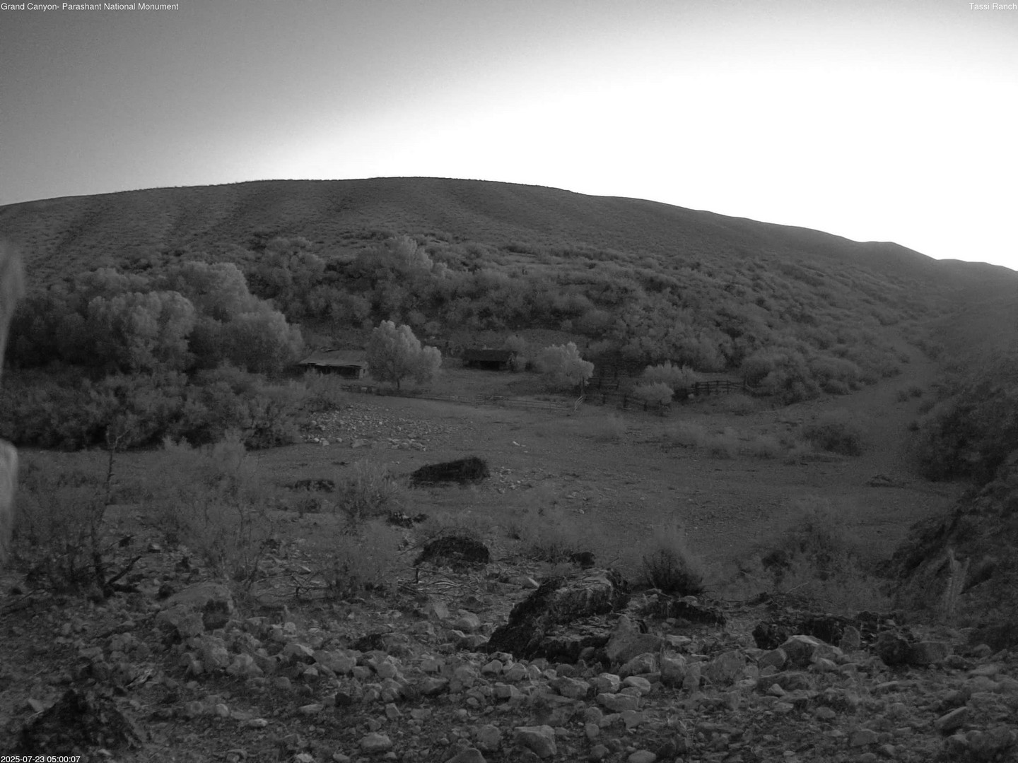 time-lapse frame, Tassi Ranch webcam