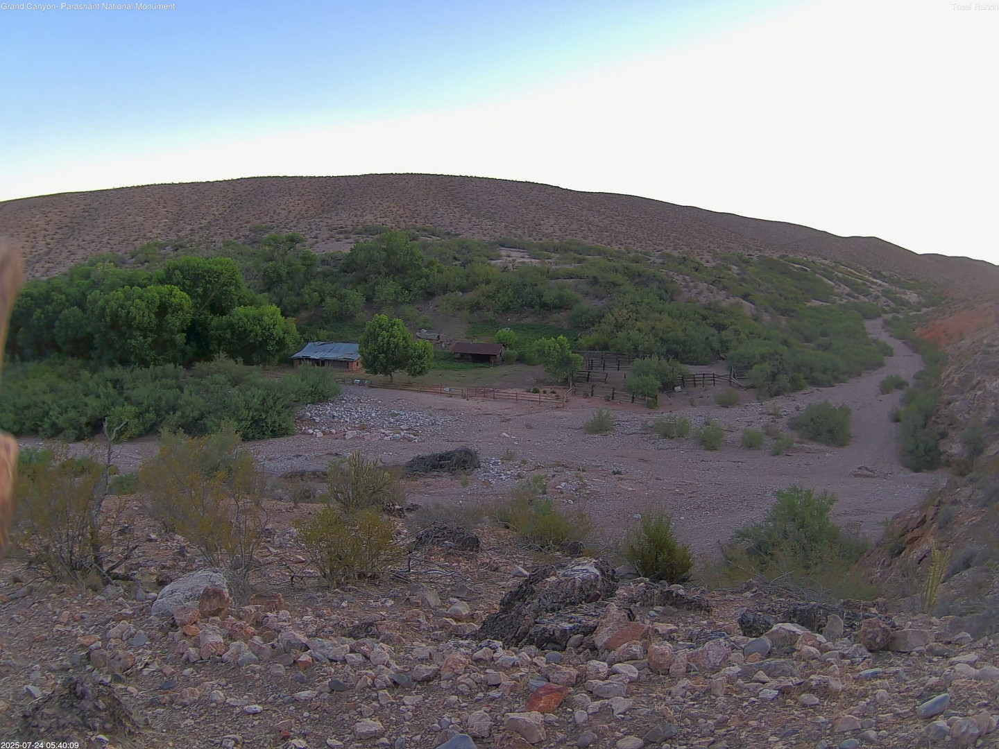 time-lapse frame, Tassi Ranch webcam