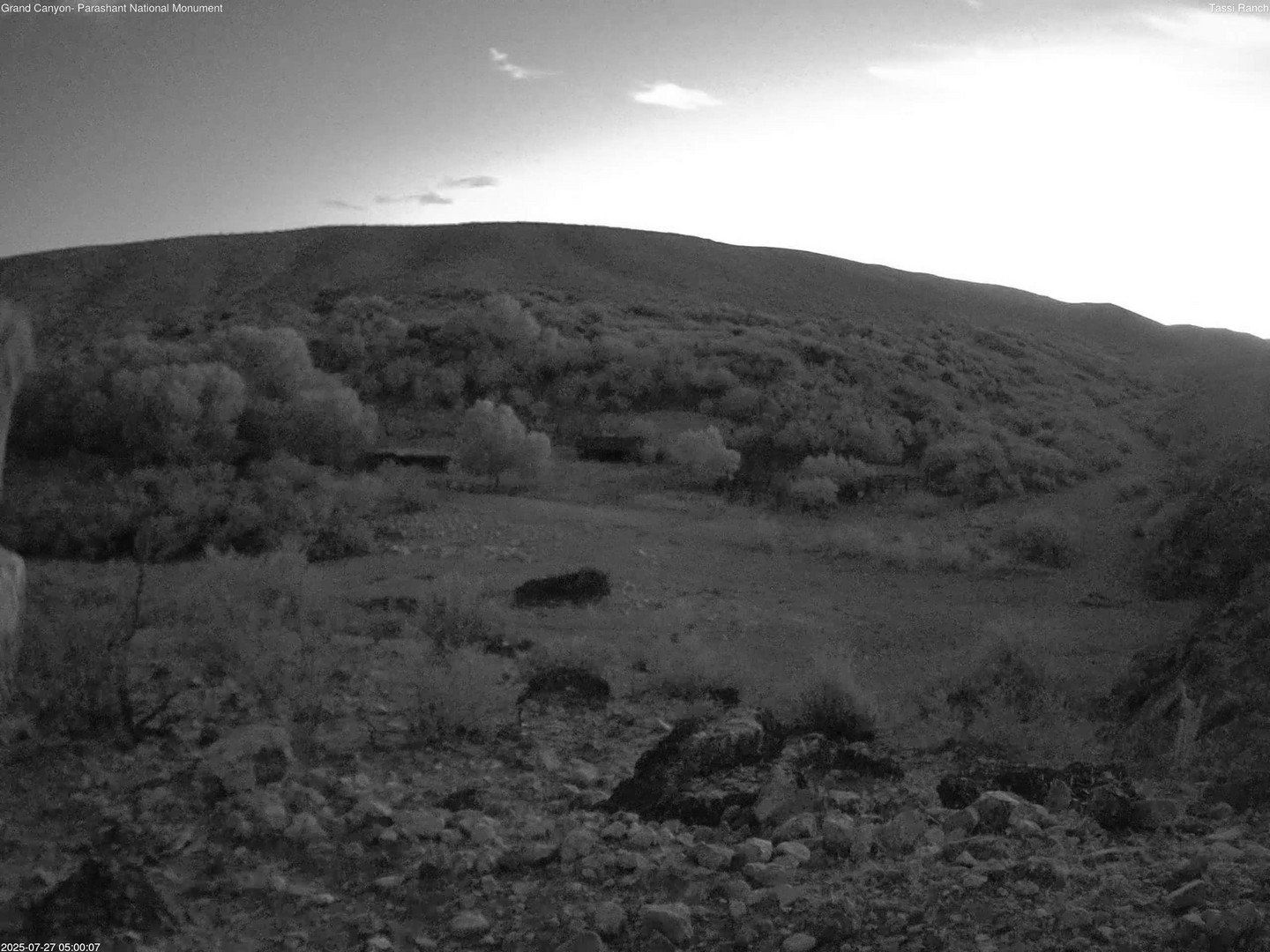 time-lapse frame, Tassi Ranch webcam