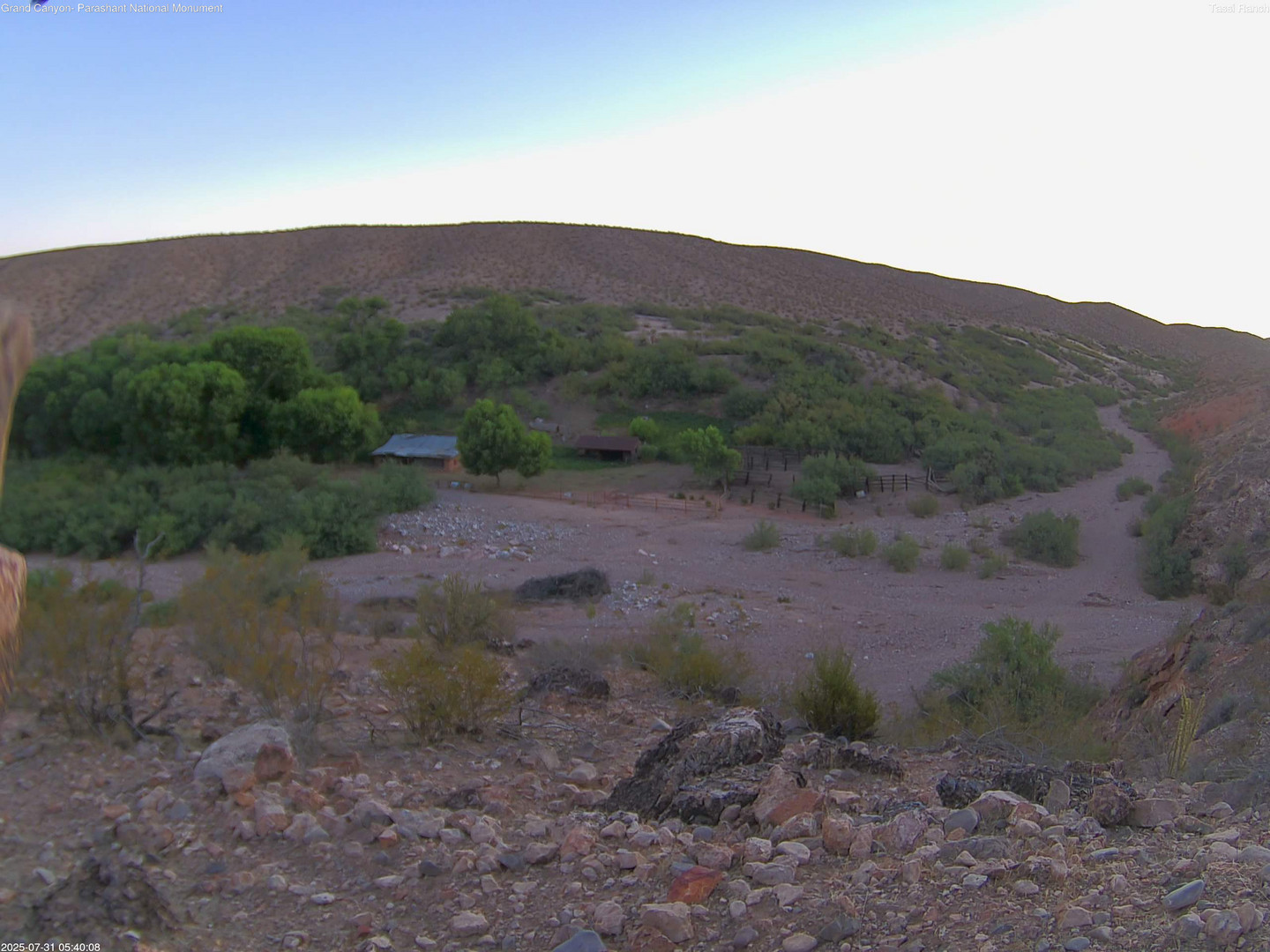 time-lapse frame, Tassi Ranch webcam