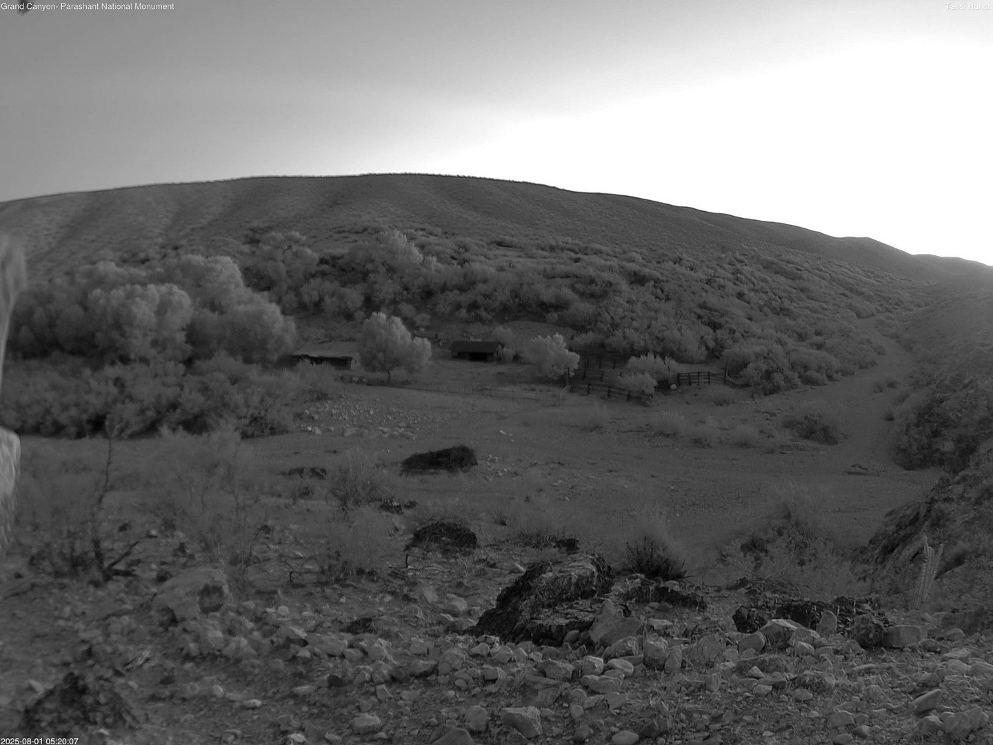 time-lapse frame, Tassi Ranch webcam