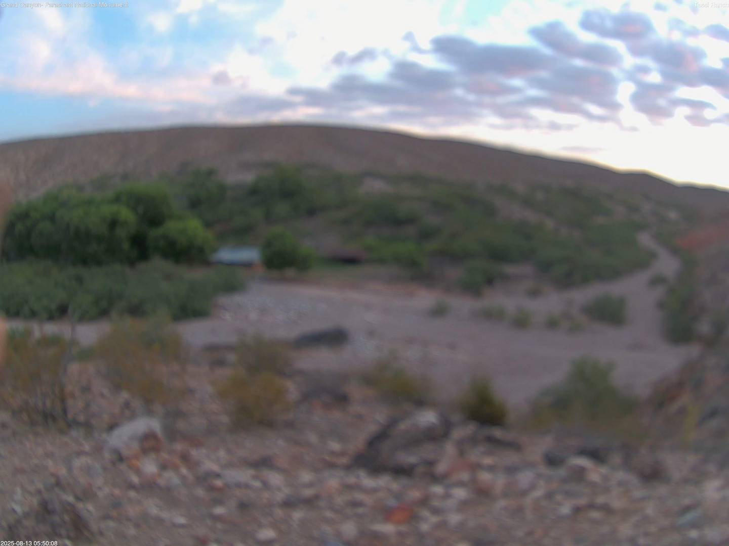time-lapse frame, Tassi Ranch webcam