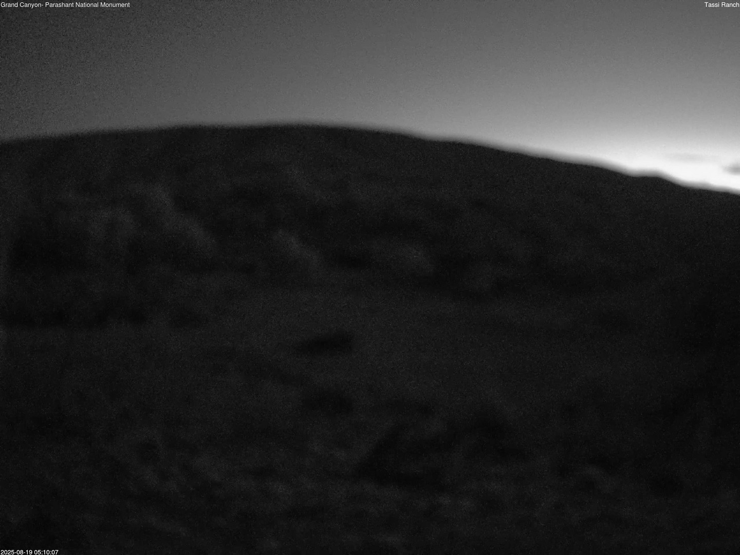 time-lapse frame, Tassi Ranch webcam