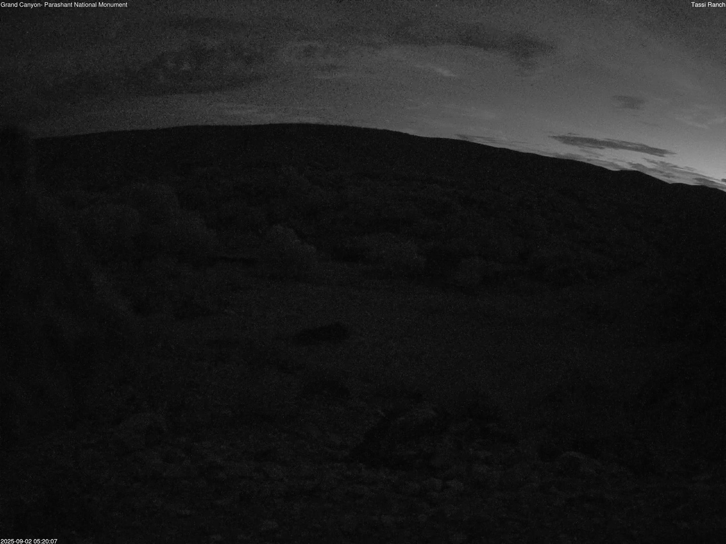 time-lapse frame, Tassi Ranch webcam