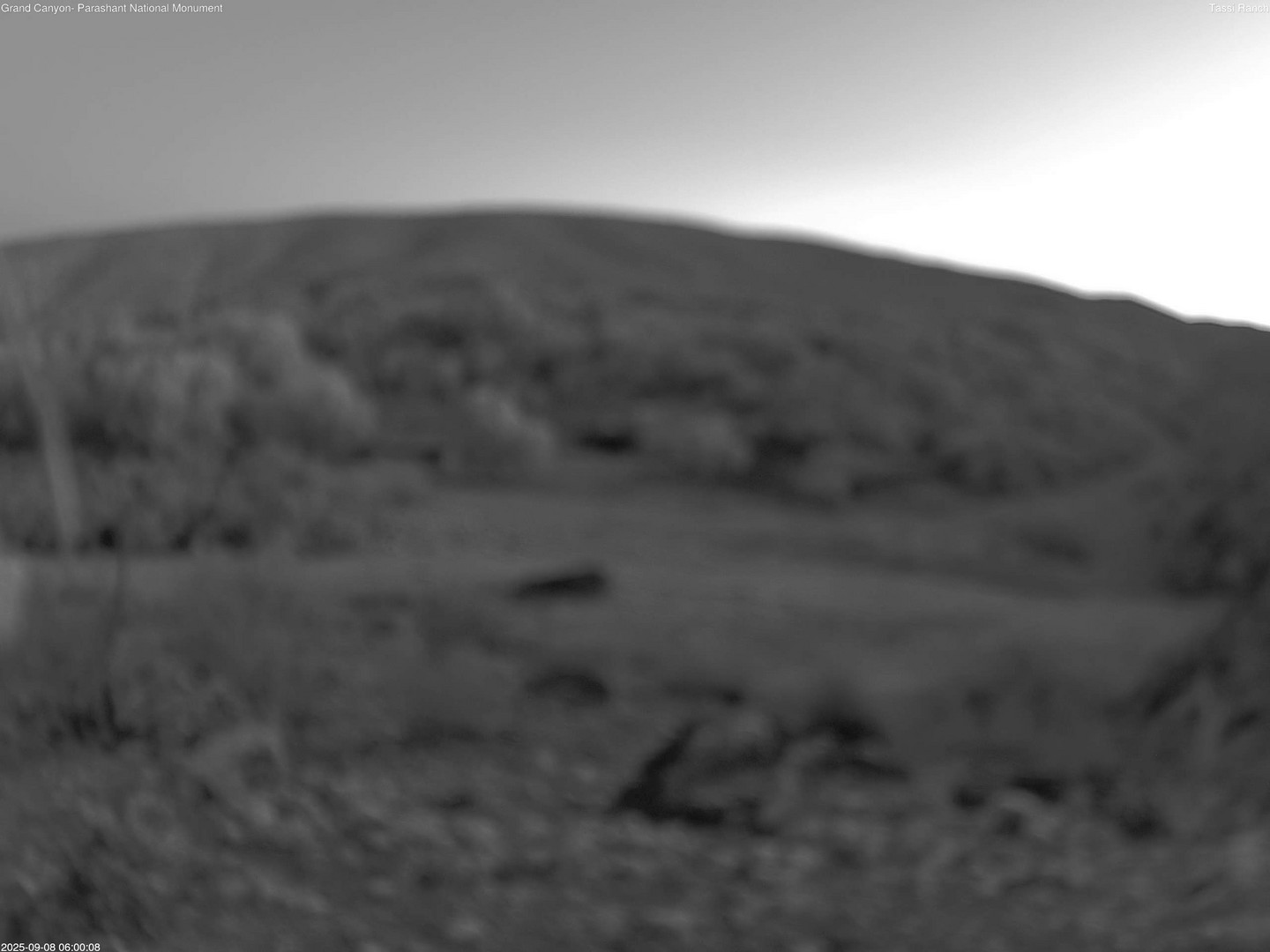 time-lapse frame, Tassi Ranch webcam