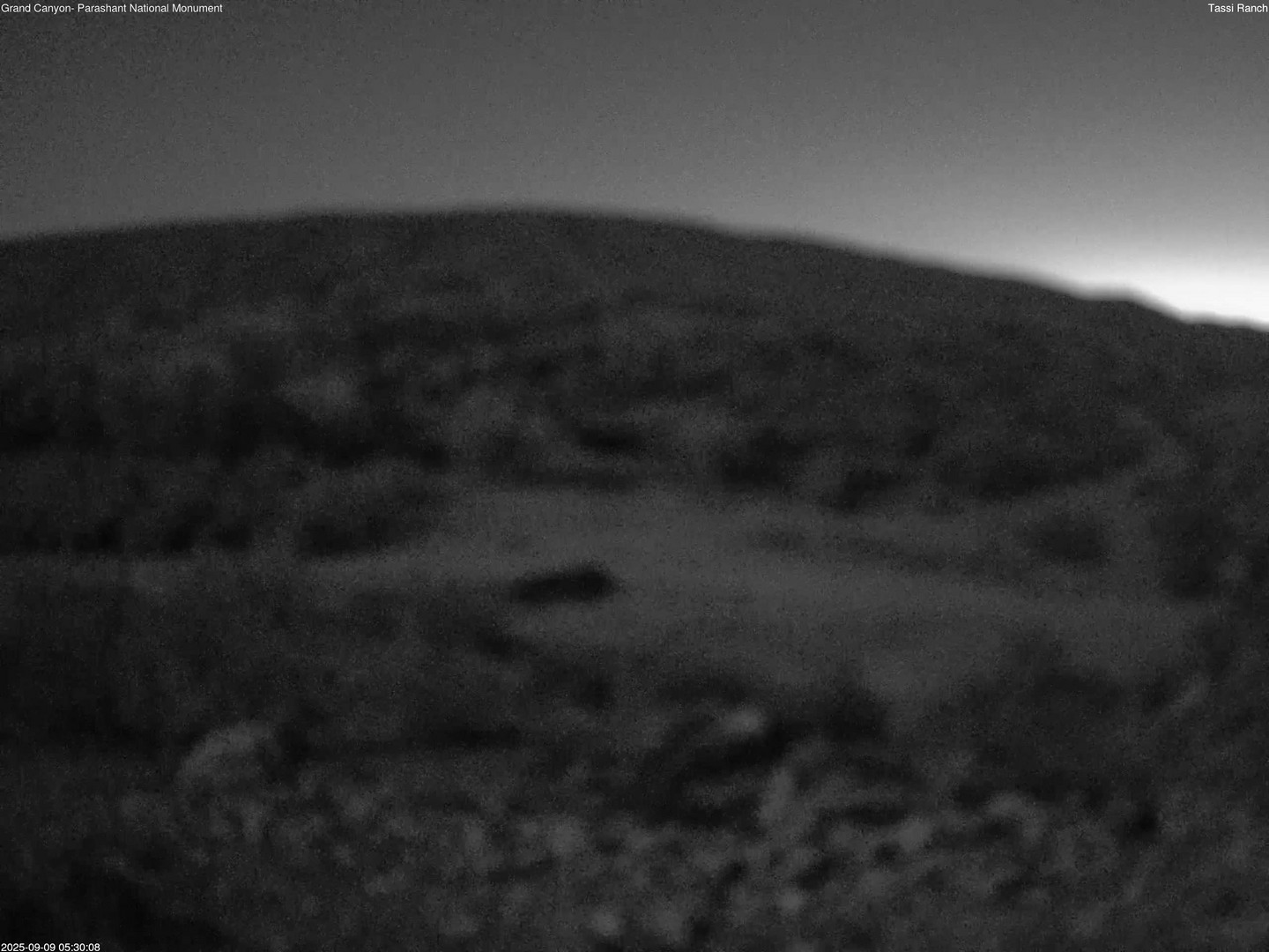 time-lapse frame, Tassi Ranch webcam