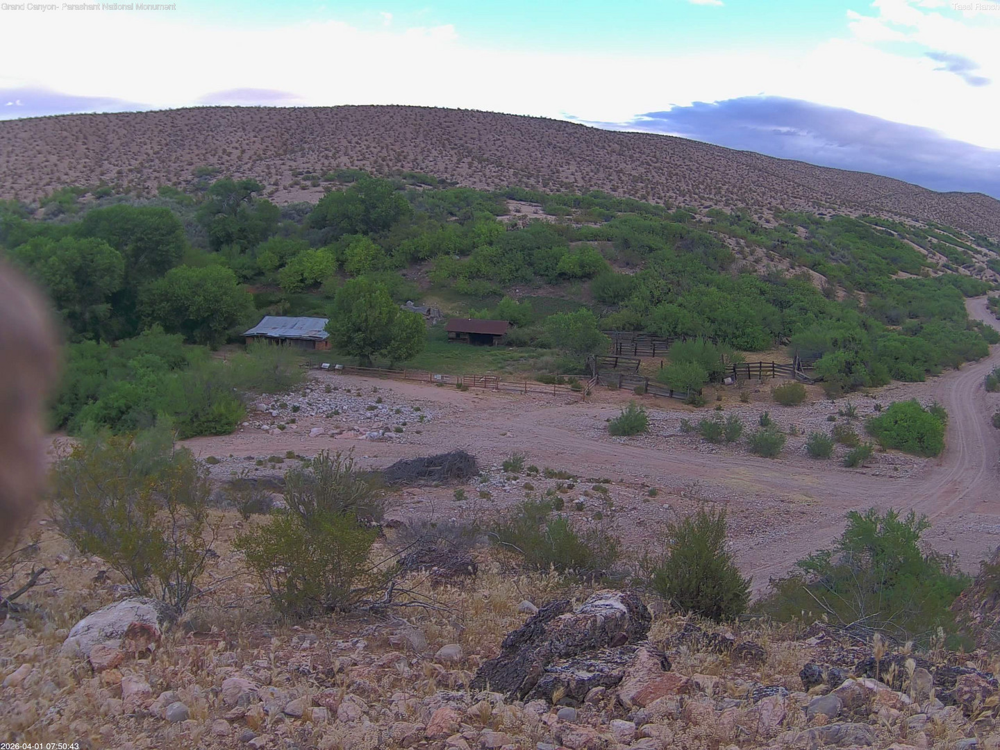 time-lapse frame, Tassi Ranch webcam